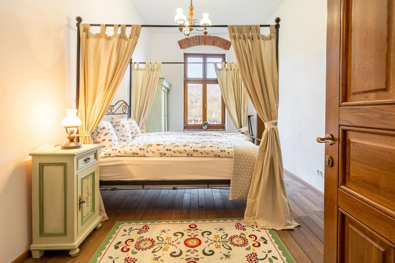 ホテル Casa Kraus Criţ エクステリア 写真