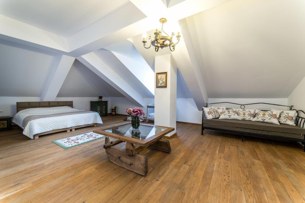 ホテル Casa Kraus Criţ エクステリア 写真