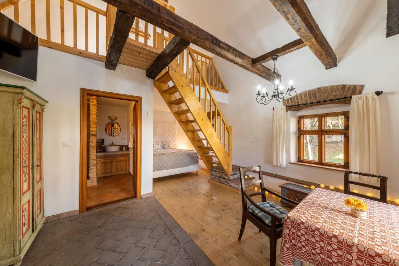 ホテル Casa Kraus Criţ エクステリア 写真