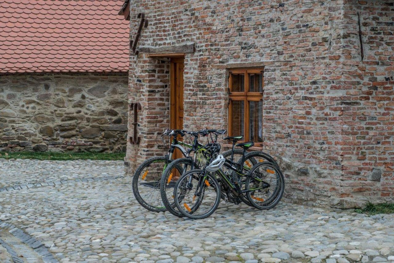 ホテル Casa Kraus Criţ エクステリア 写真
