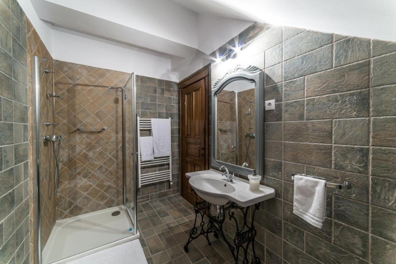 ホテル Casa Kraus Criţ エクステリア 写真