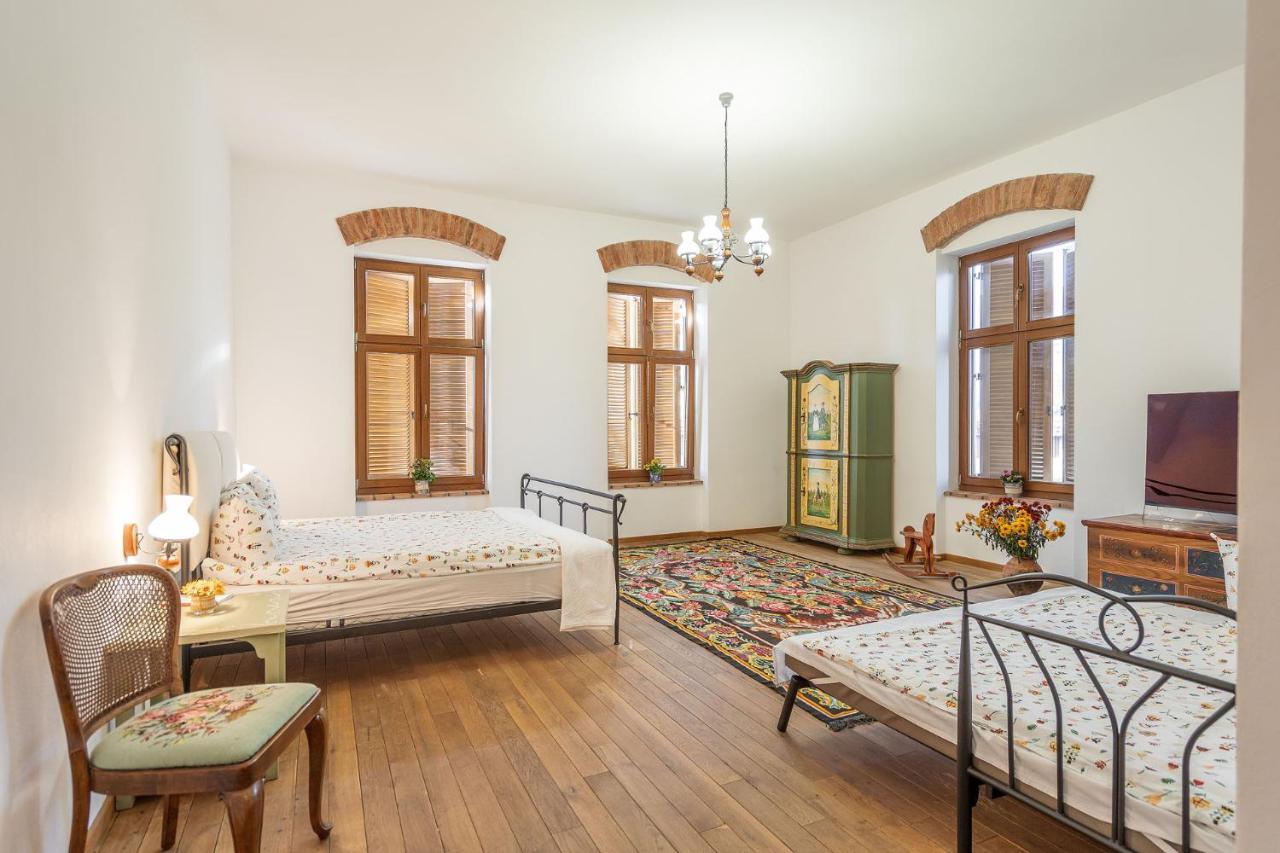 ホテル Casa Kraus Criţ エクステリア 写真