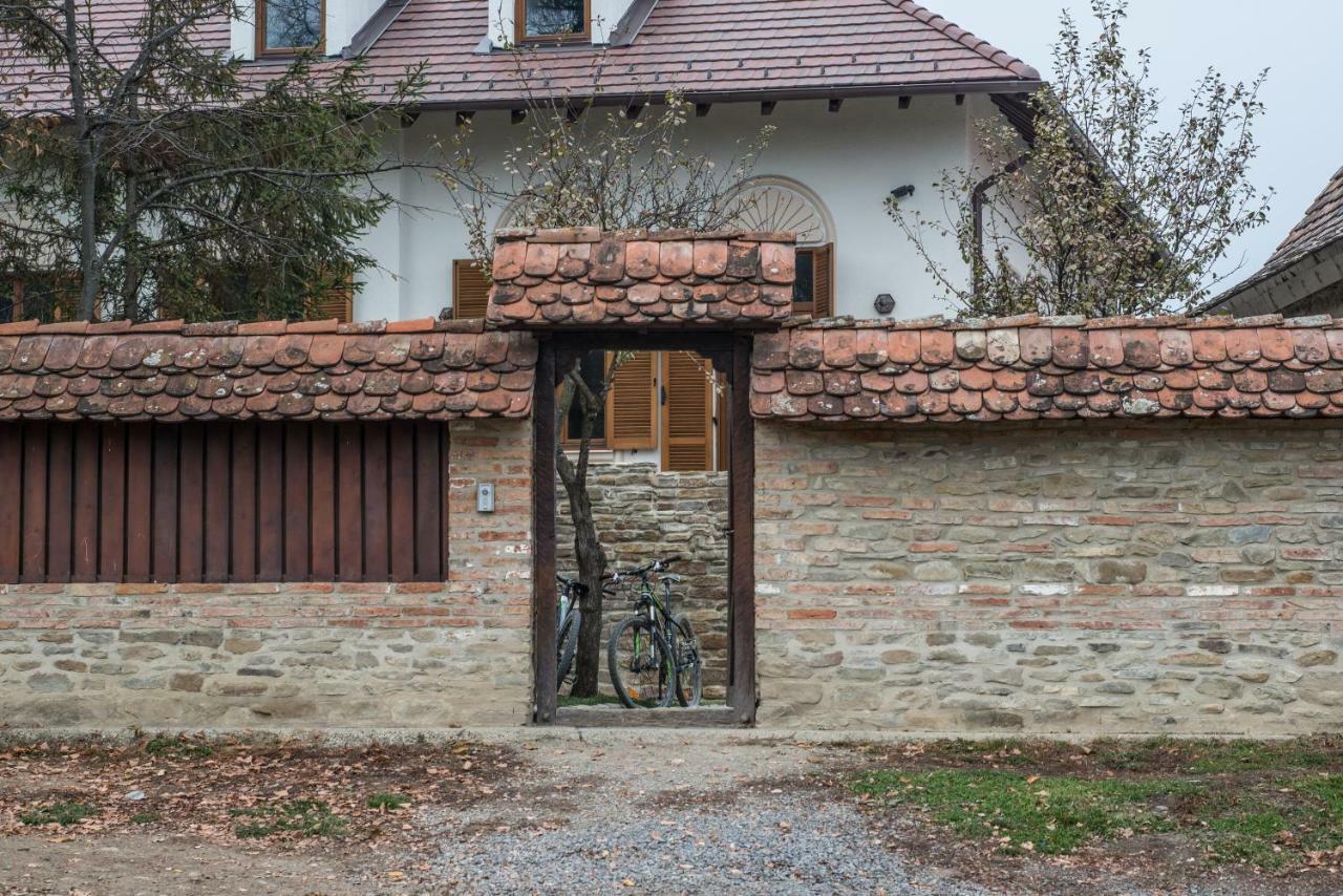 ホテル Casa Kraus Criţ エクステリア 写真
