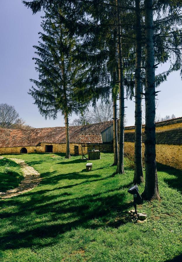 ホテル Casa Kraus Criţ エクステリア 写真