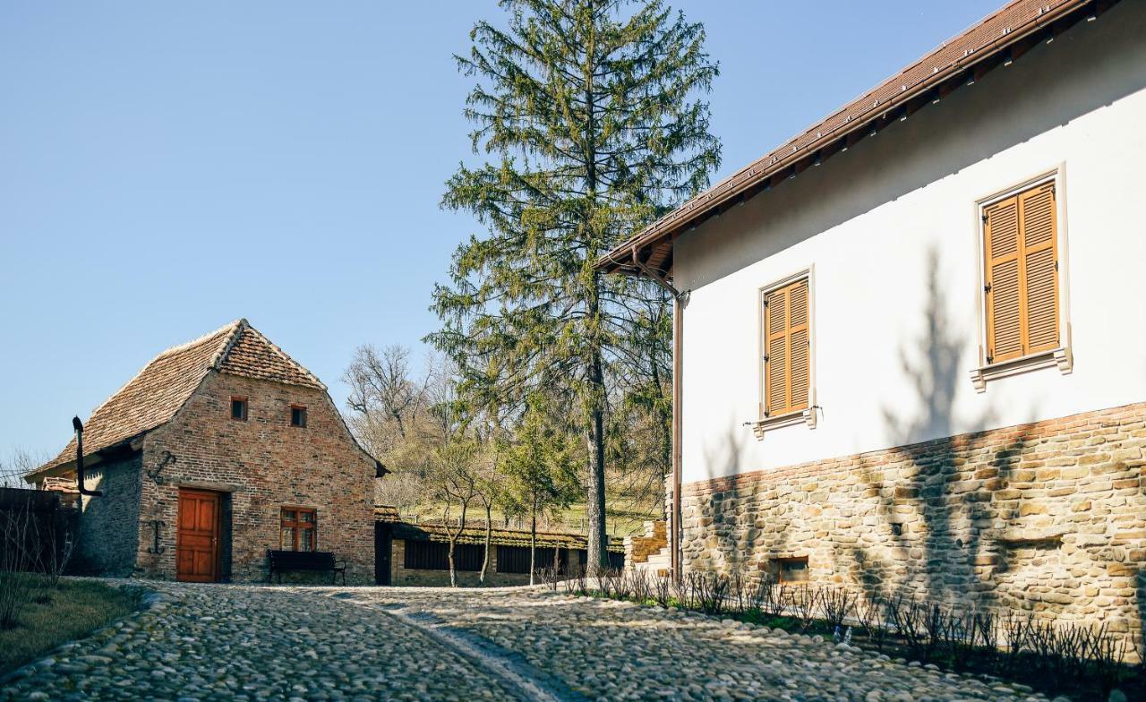 ホテル Casa Kraus Criţ エクステリア 写真