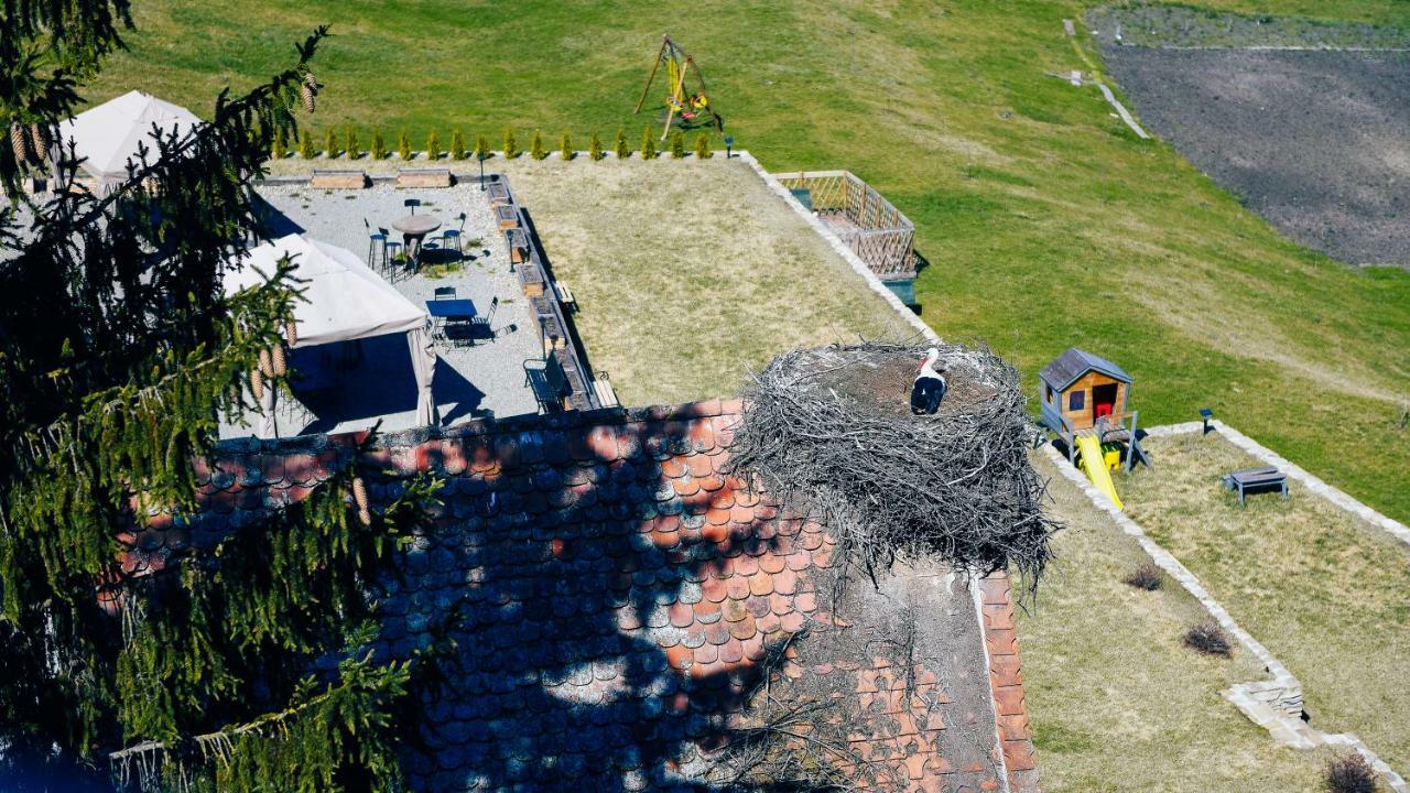ホテル Casa Kraus Criţ エクステリア 写真