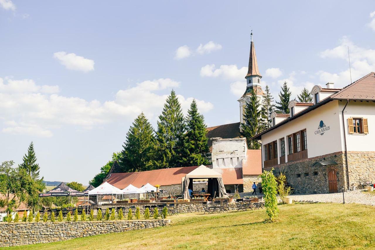 ホテル Casa Kraus Criţ エクステリア 写真