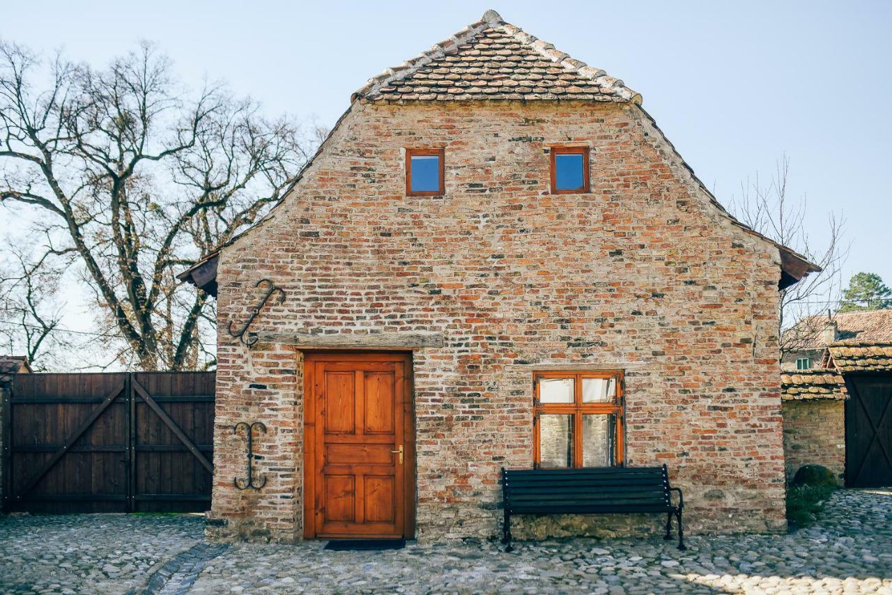 ホテル Casa Kraus Criţ エクステリア 写真